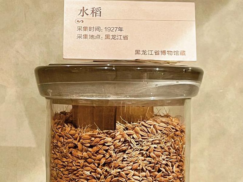 化肥市场动态与批发趋势揭秘